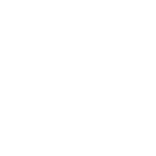 Icon Schutz