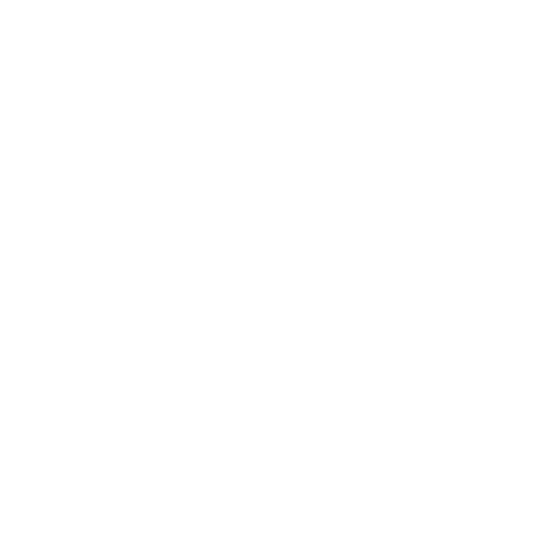 Icon Resistance