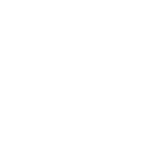 Icon Warranty