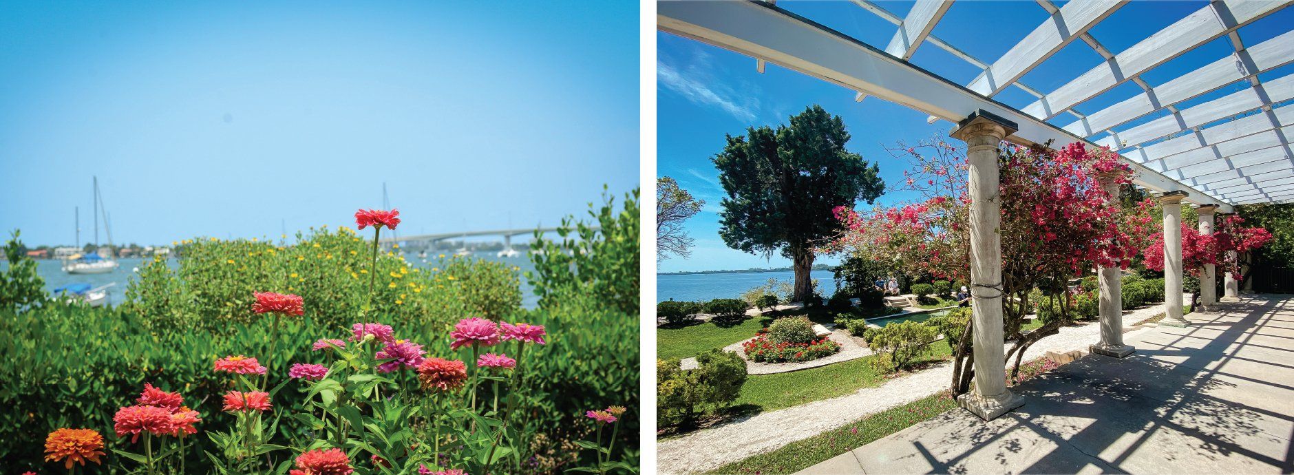 A couple of pictures of flowers and a pergola overlooking a body of water.