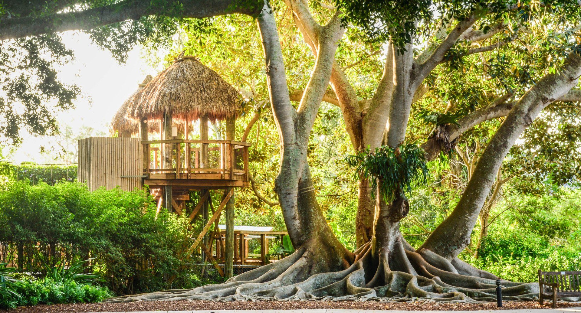 A tree house with a thatched roof is sitting under a large tree.