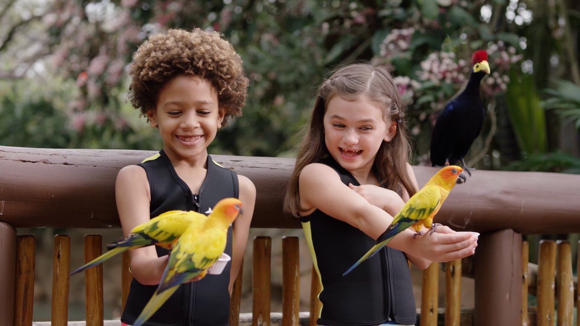 A boy and a girl are feeding birds from their hands.