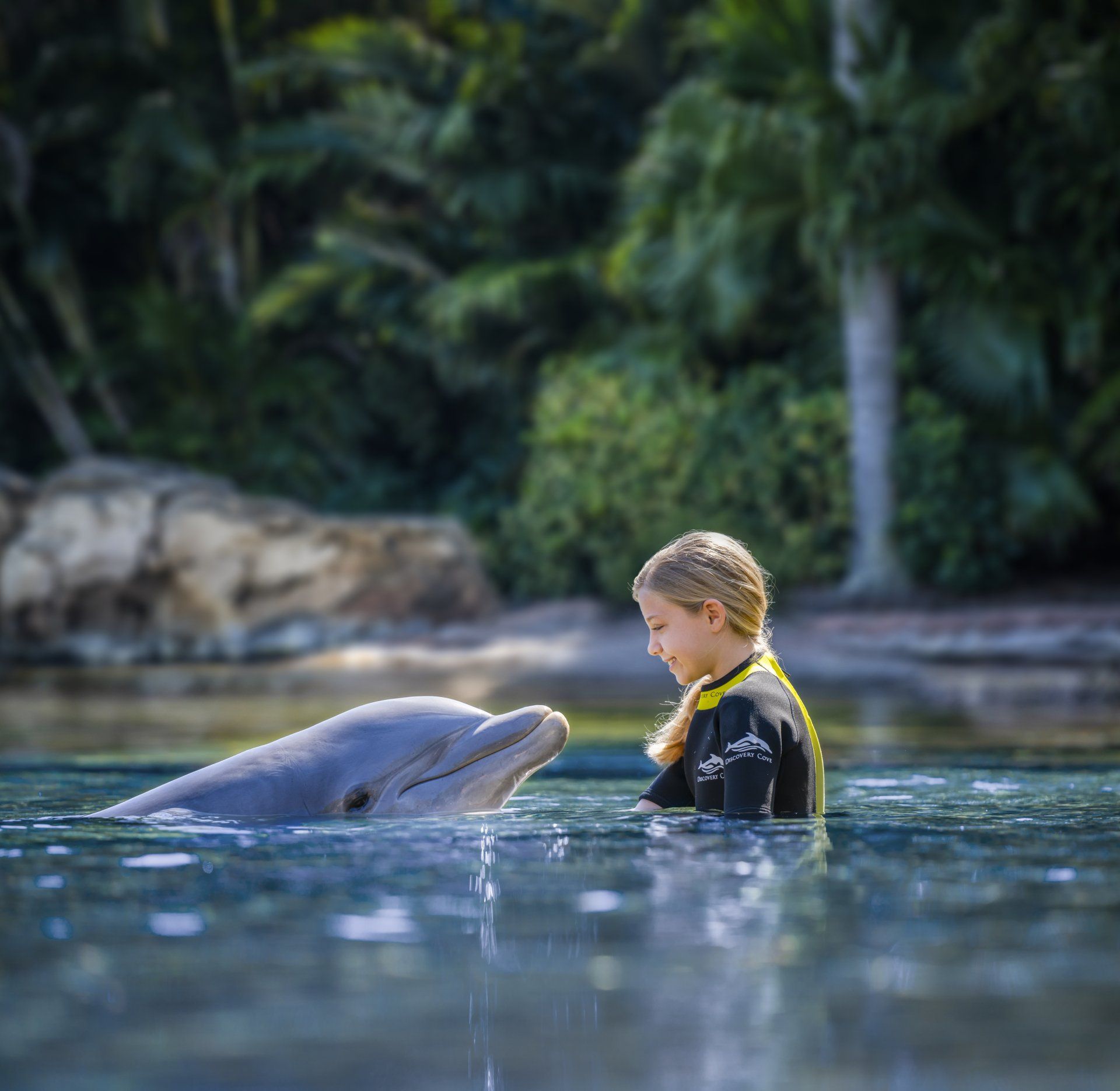 A young boy is playing with a dolphin in the water.