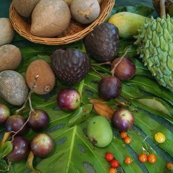 A variety of fruits and vegetables on a green leaf