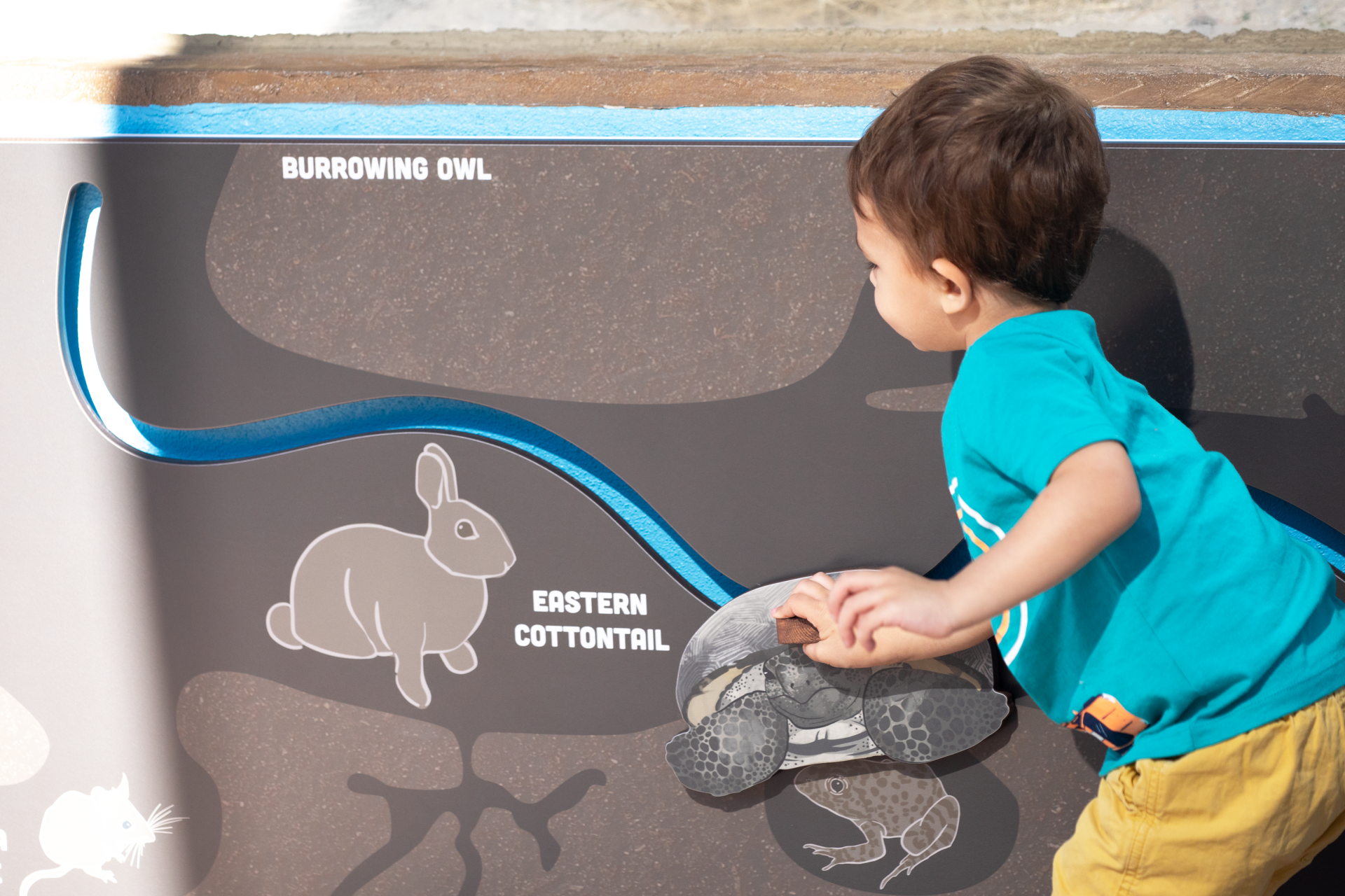 A young boy is playing with a drawing of a burrowing owl and a rabbit