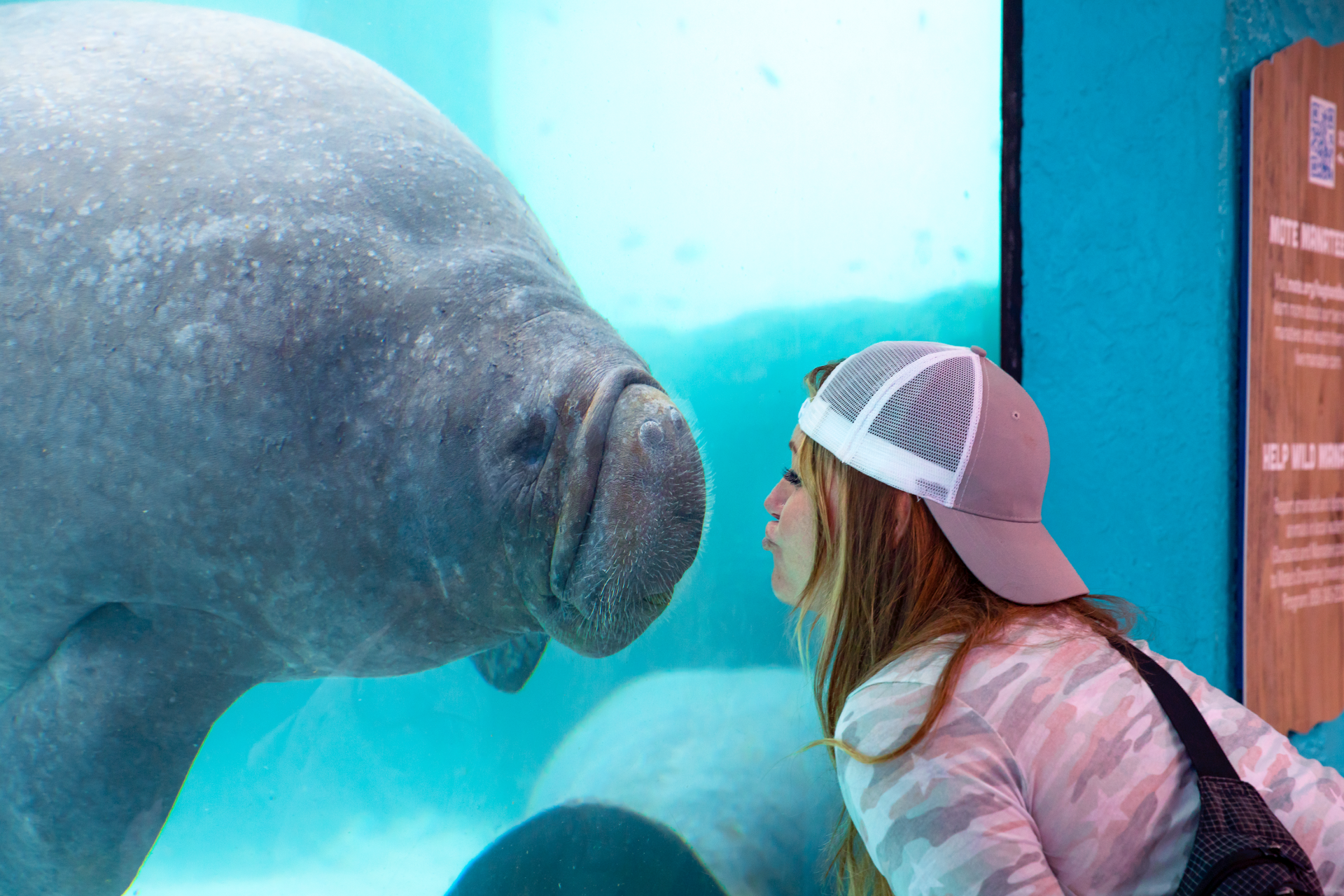 A woman is kissing a manatee in an aquarium.