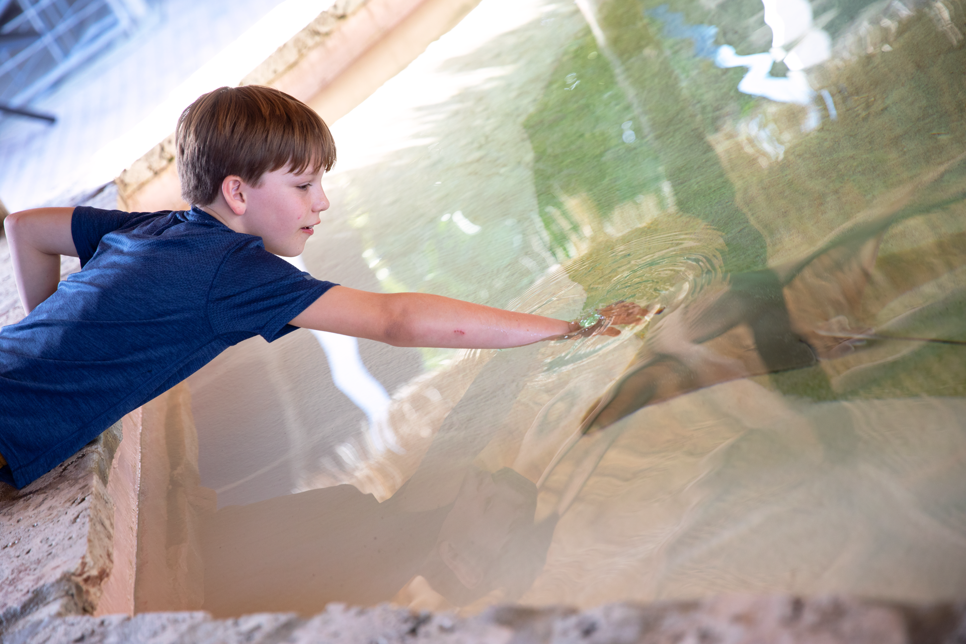 A young boy is reaching out to touch a fish in a tank.