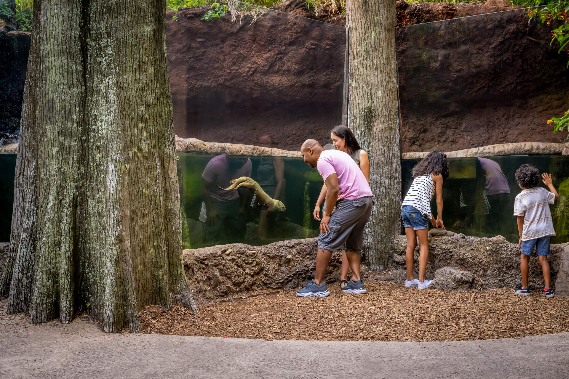 A woman and two children are looking at a fish tank at a zoo.