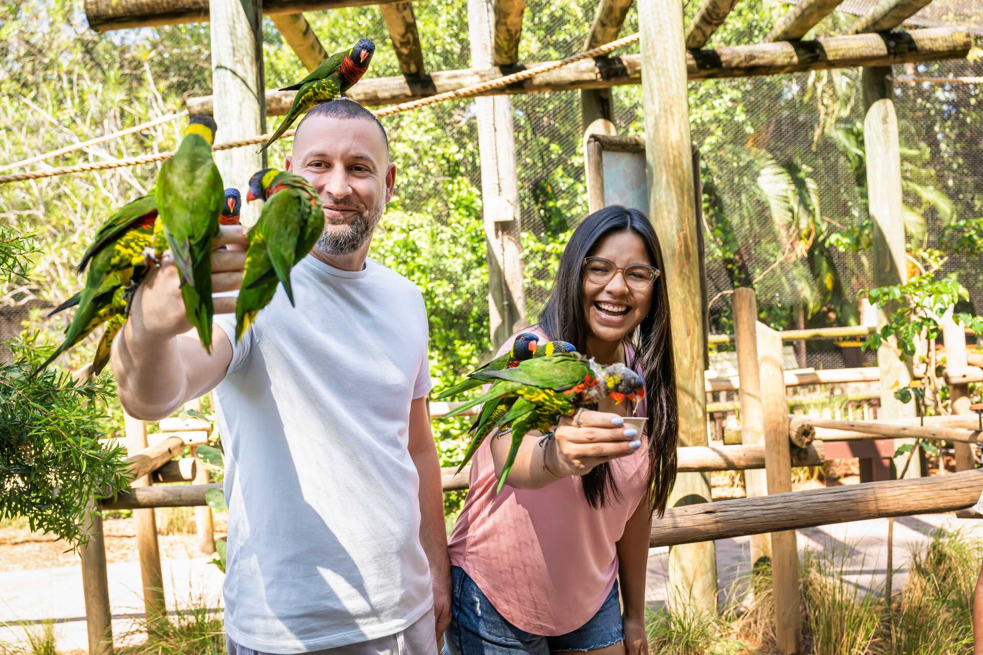A man and a woman are holding a bunch of parrots in their hands.