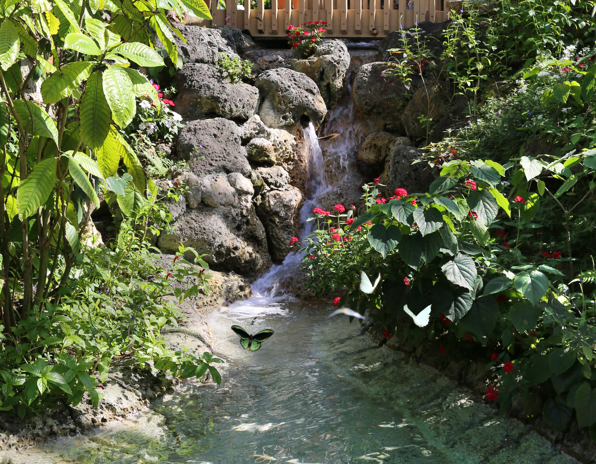 A waterfall in a garden with flowers and butterflies