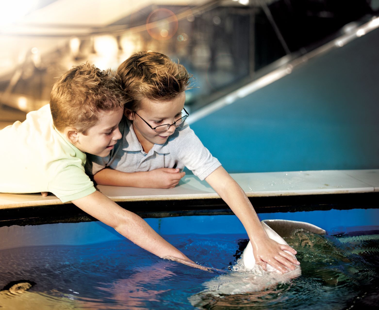 Two young boys are looking at a stingray in a tank