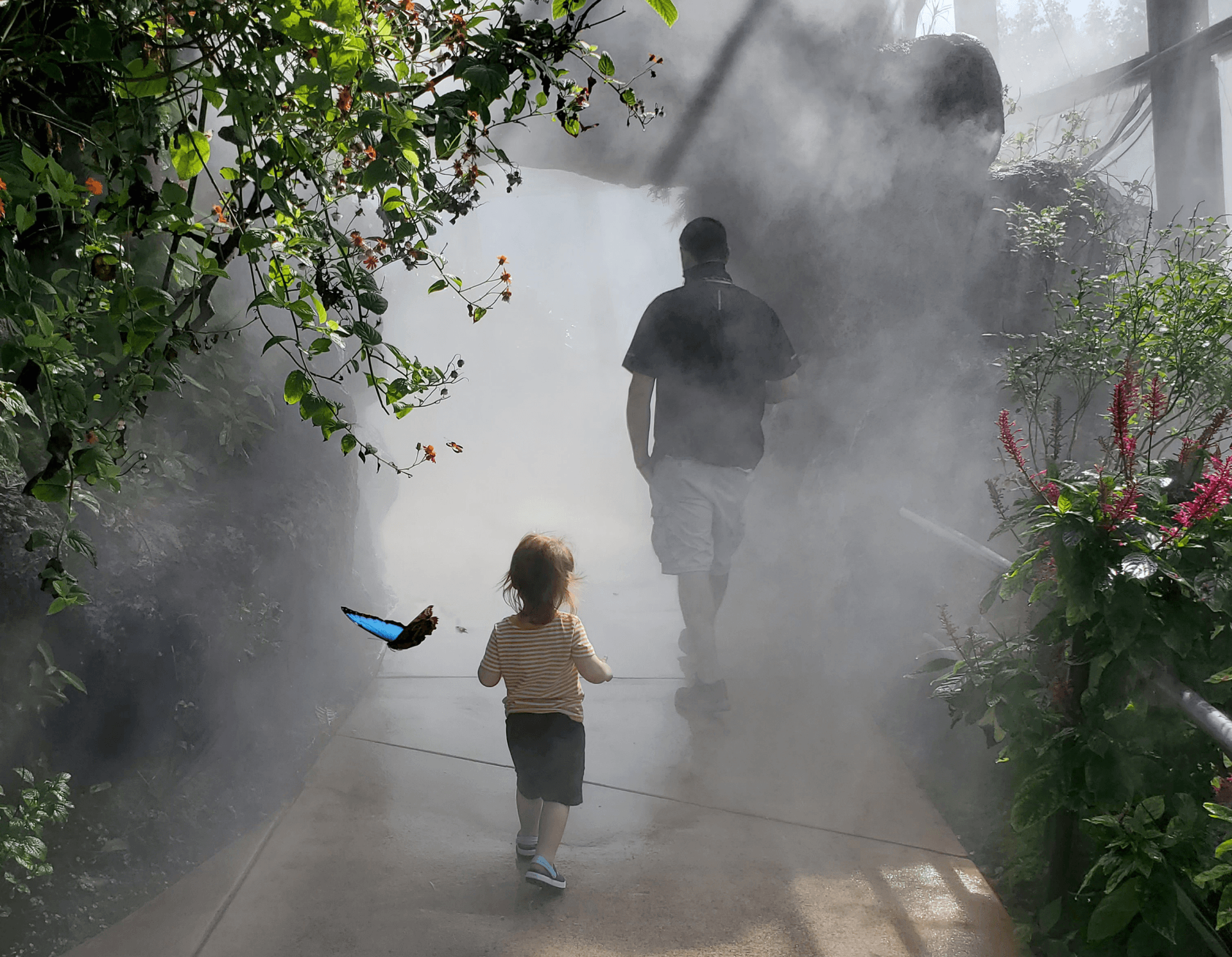 A man and a child are walking through a foggy forest