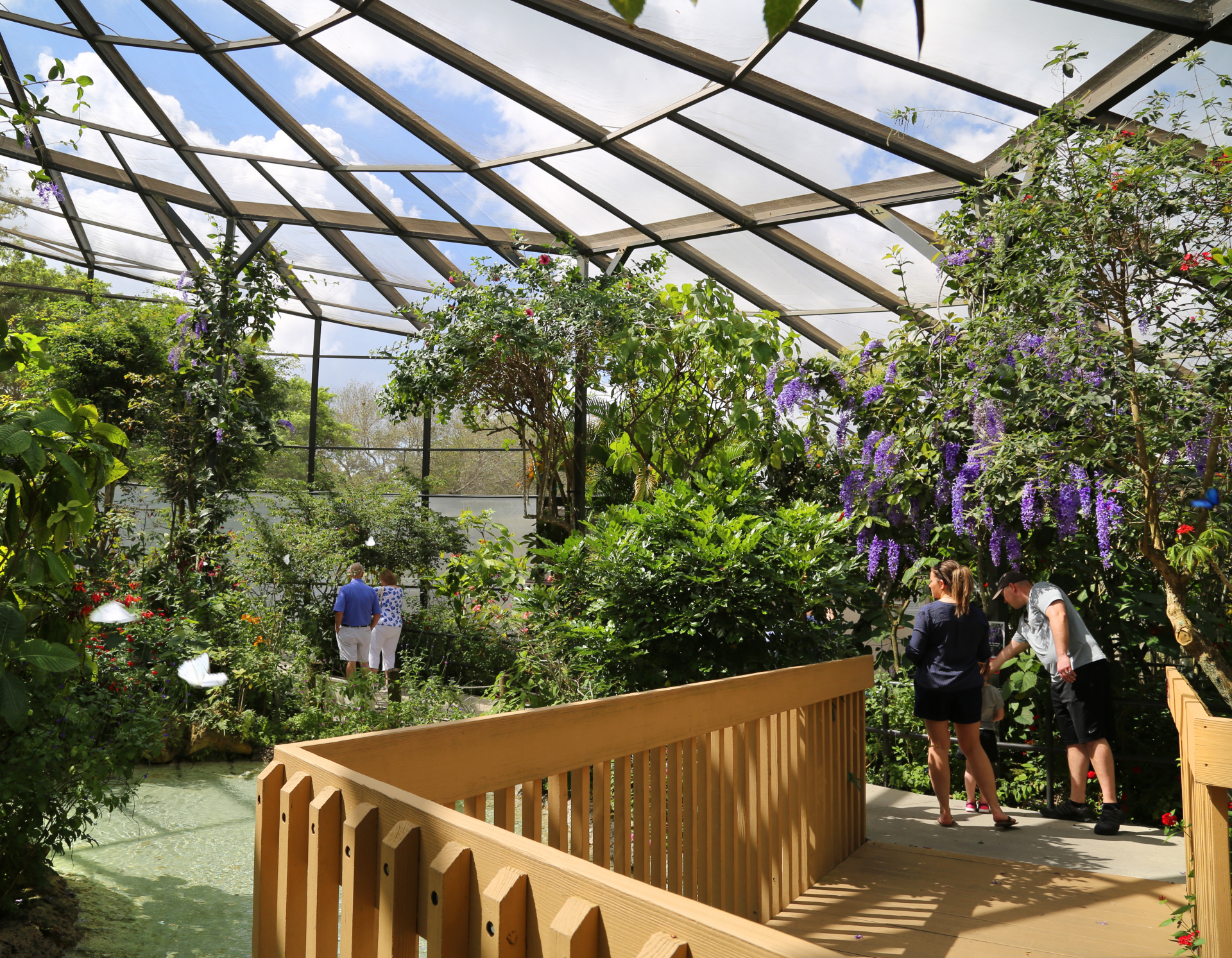 A group of people are standing in a greenhouse looking at plants.