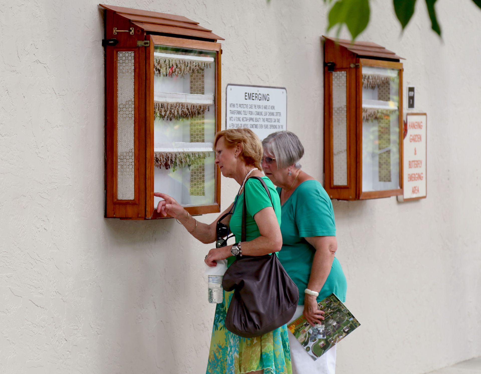 Two women are looking at a display case on a wall.