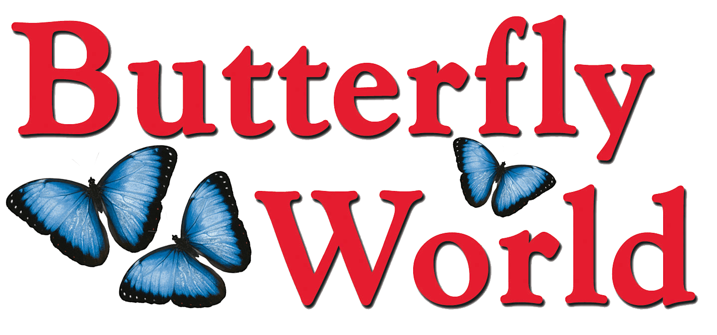 A logo for butterfly world with blue butterflies on it