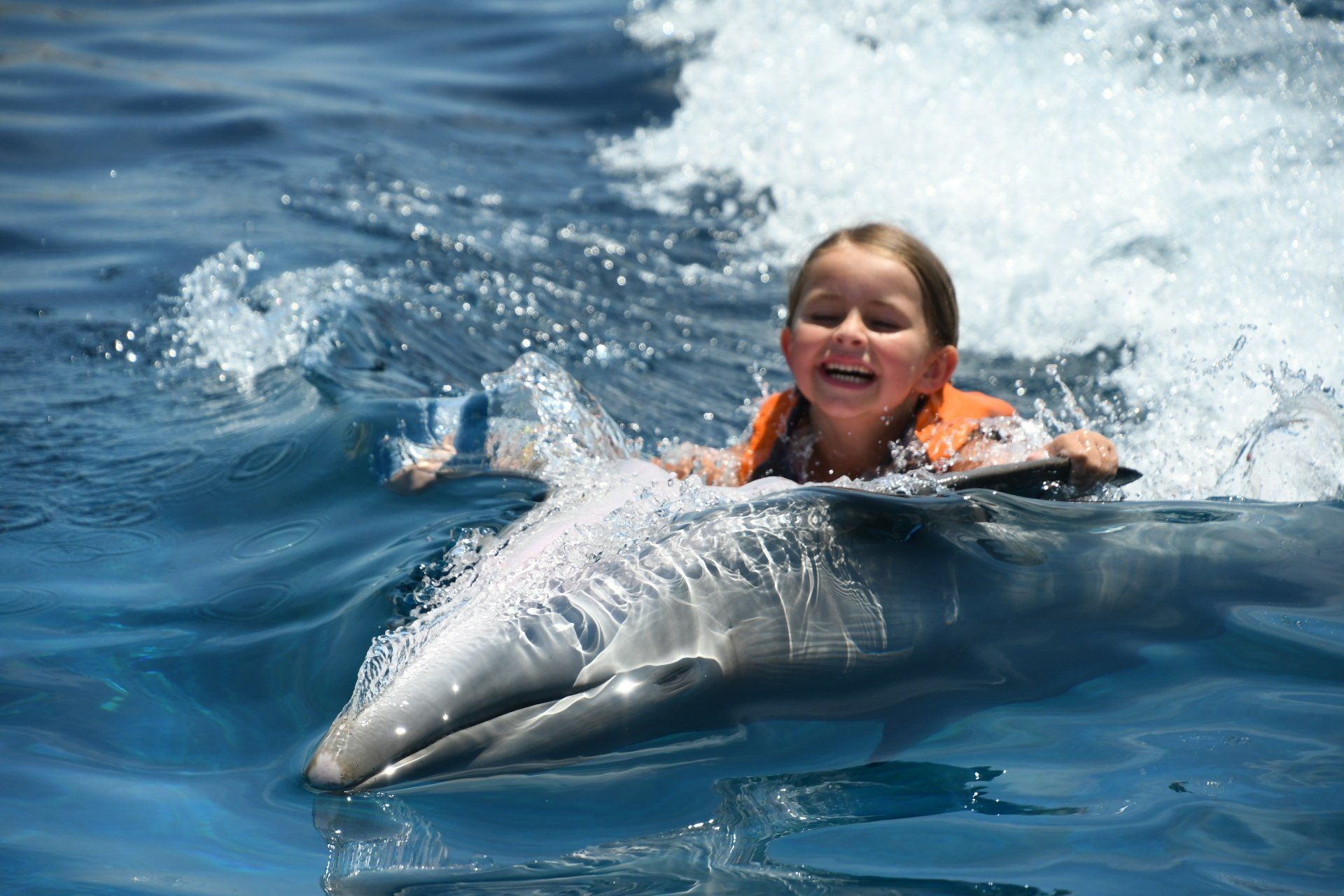 A little girl is swimming with a dolphin in the ocean.