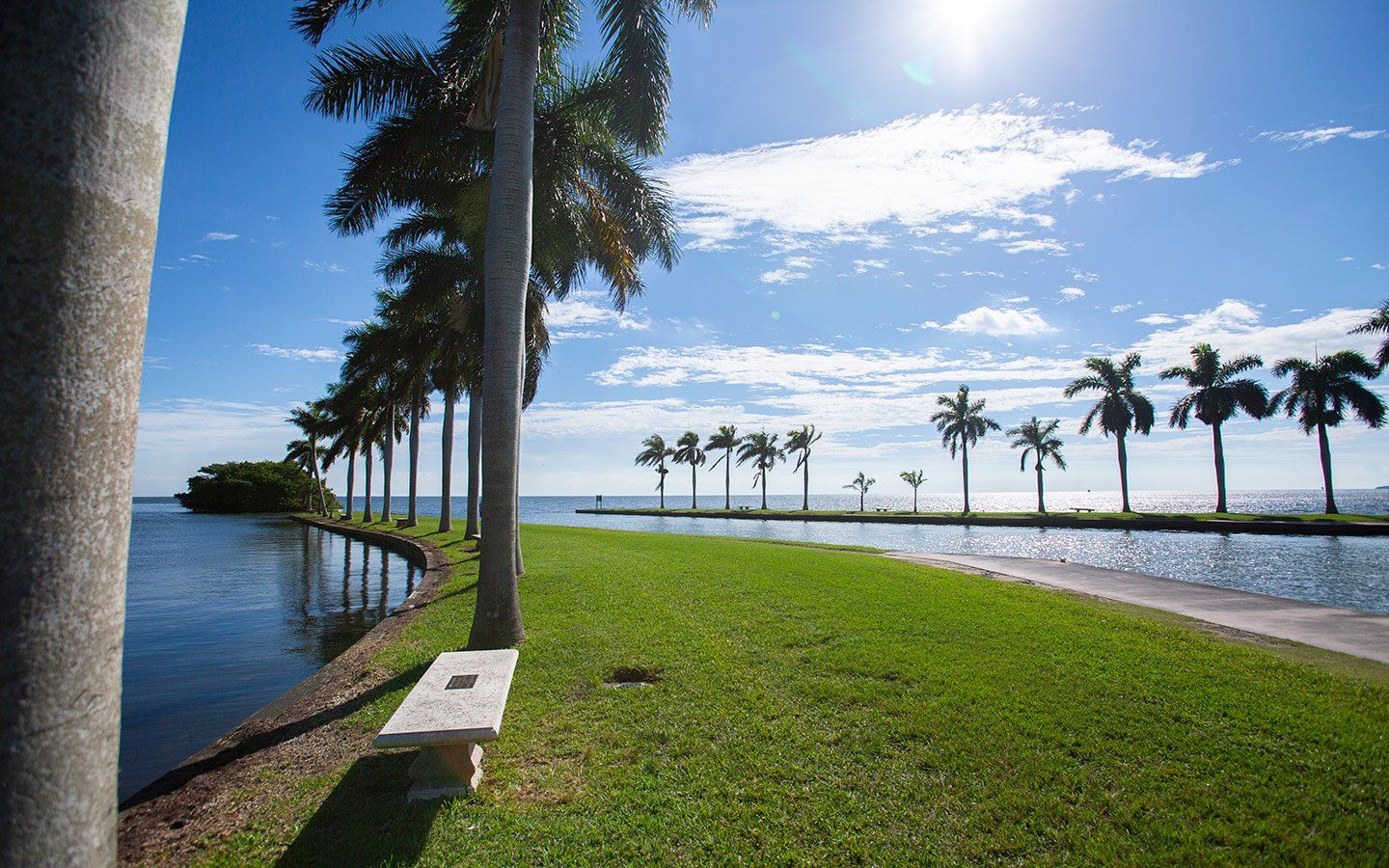 A white bench is sitting next to a body of water surrounded by palm trees.