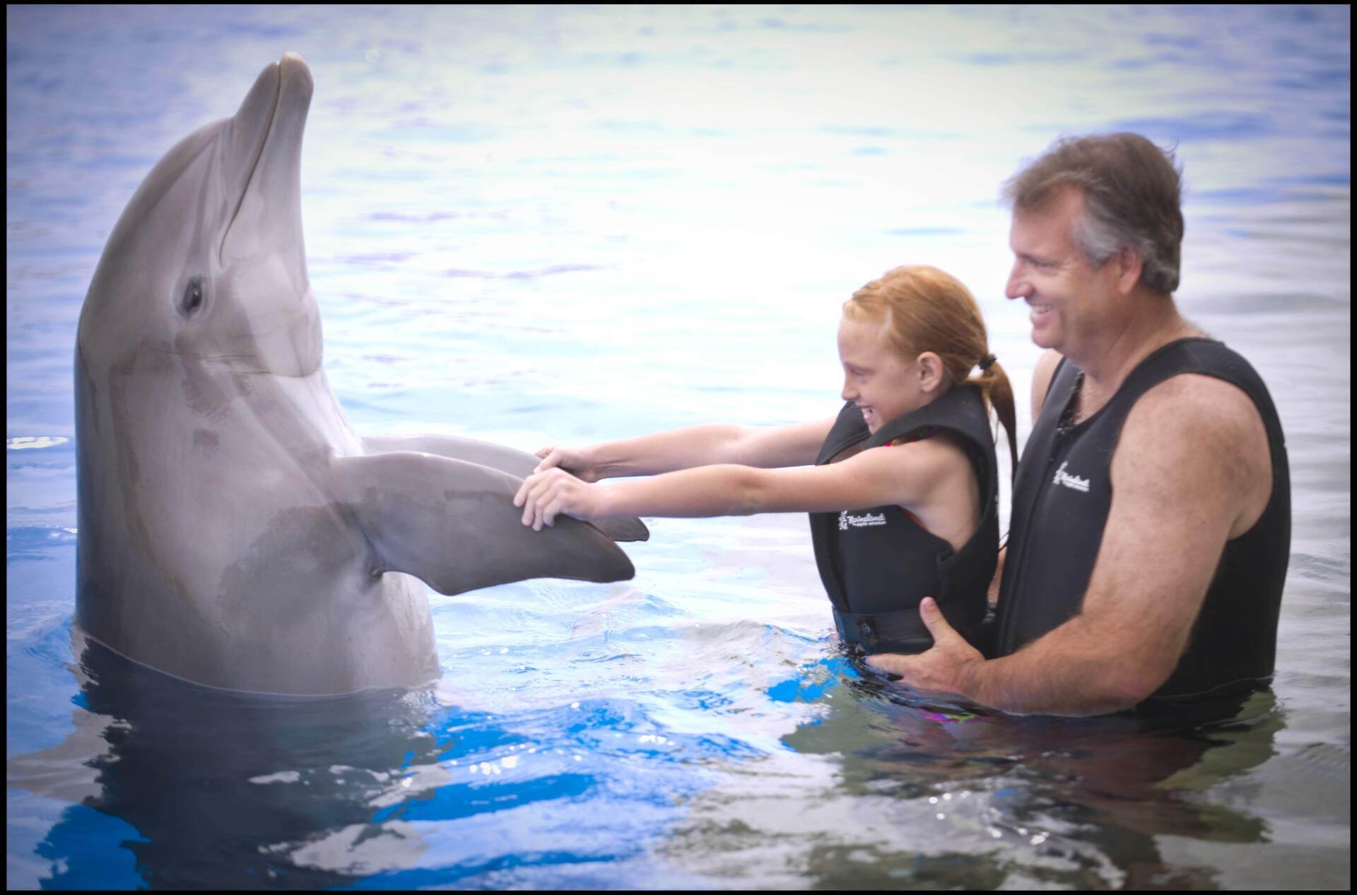 A man and a little girl are playing with a dolphin in the water.