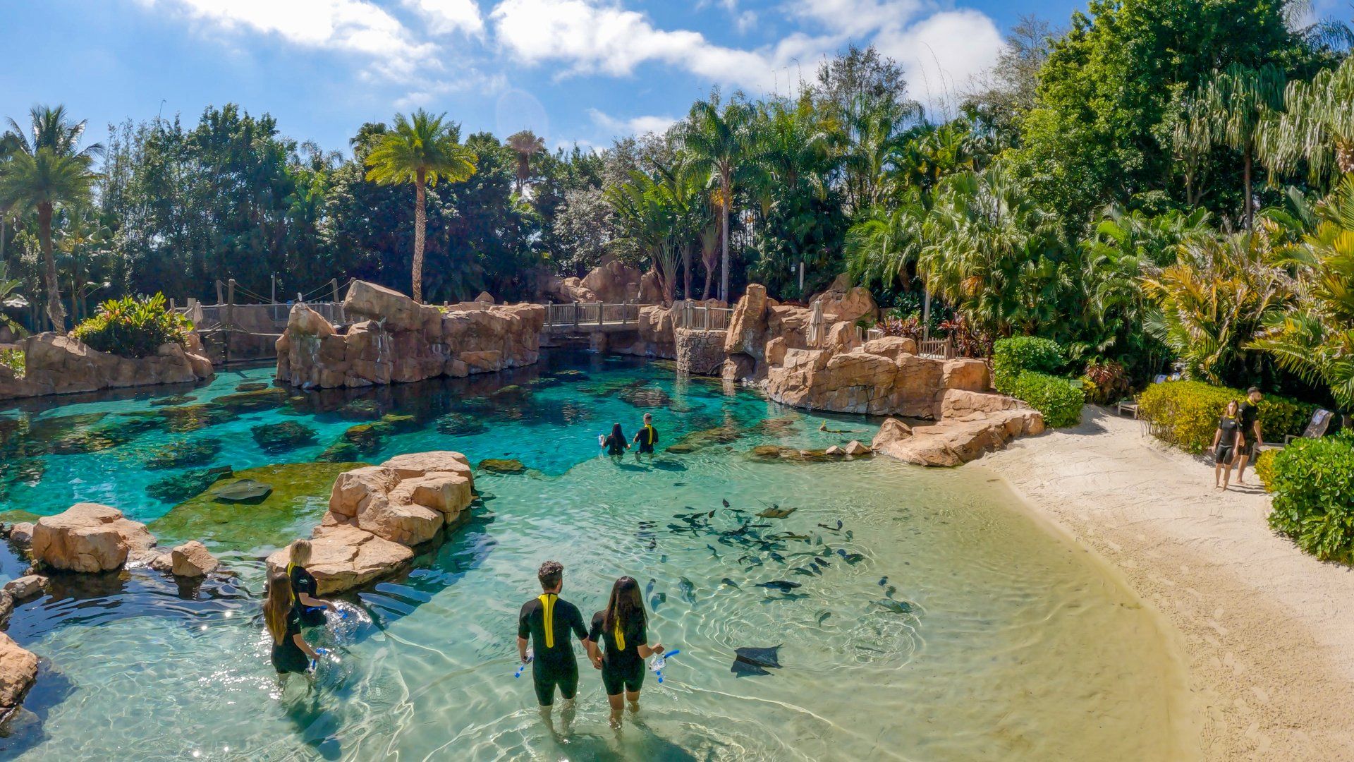 A couple of people are walking into a body of water.