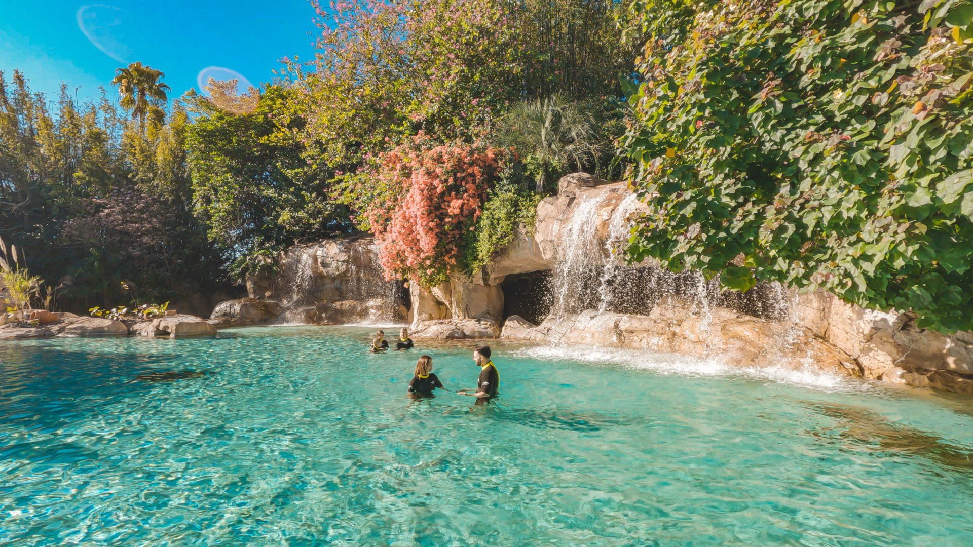 A group of people are swimming in a pool with a waterfall in the background.