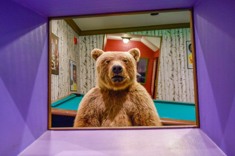 A stuffed bear is looking out of a window at a pool table.