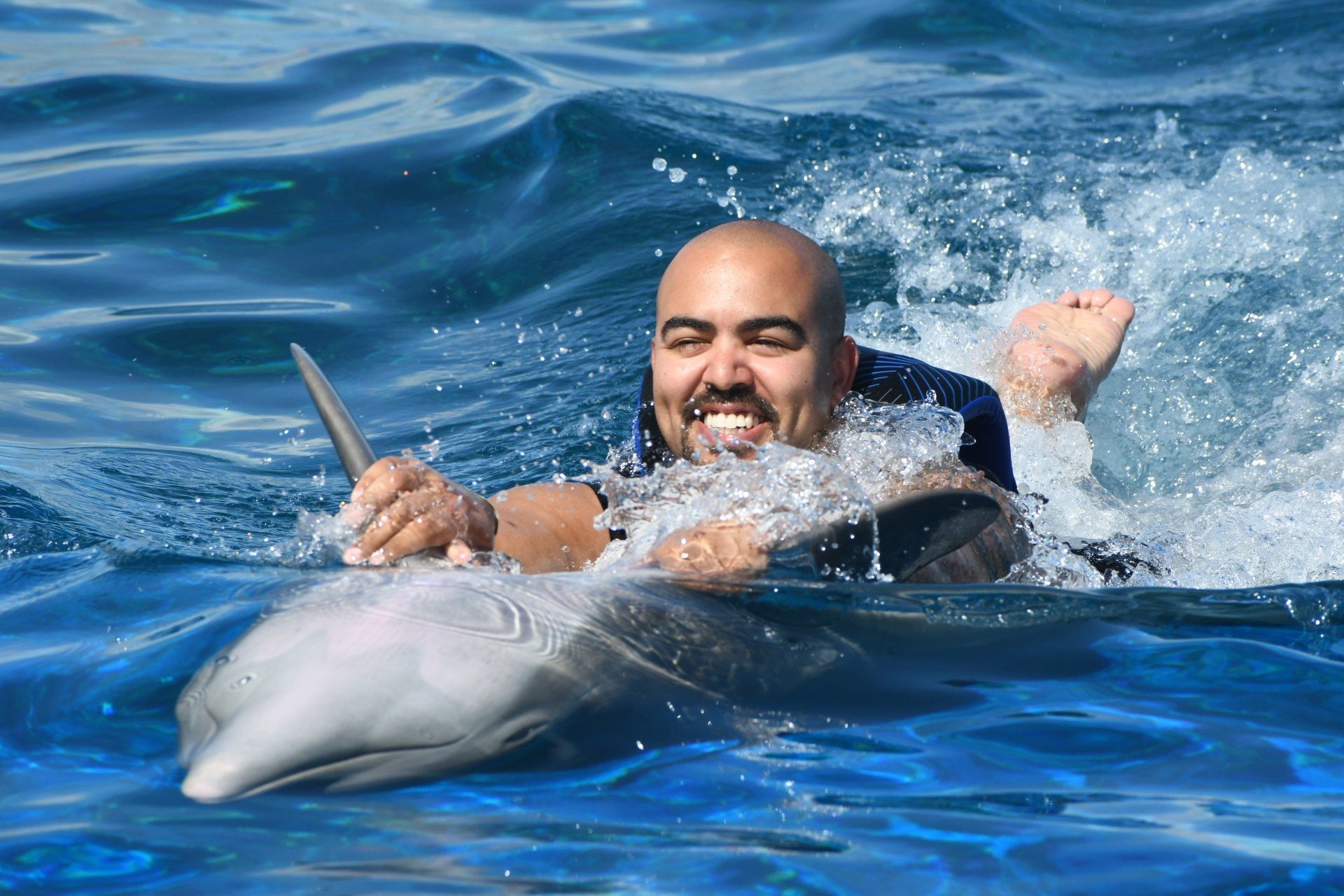 A man is swimming with a dolphin in the ocean.
