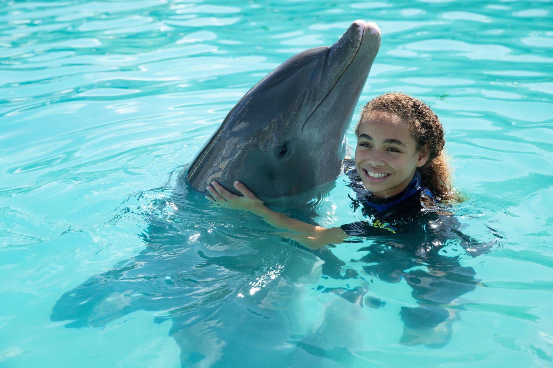 A woman is swimming with a dolphin in a pool.