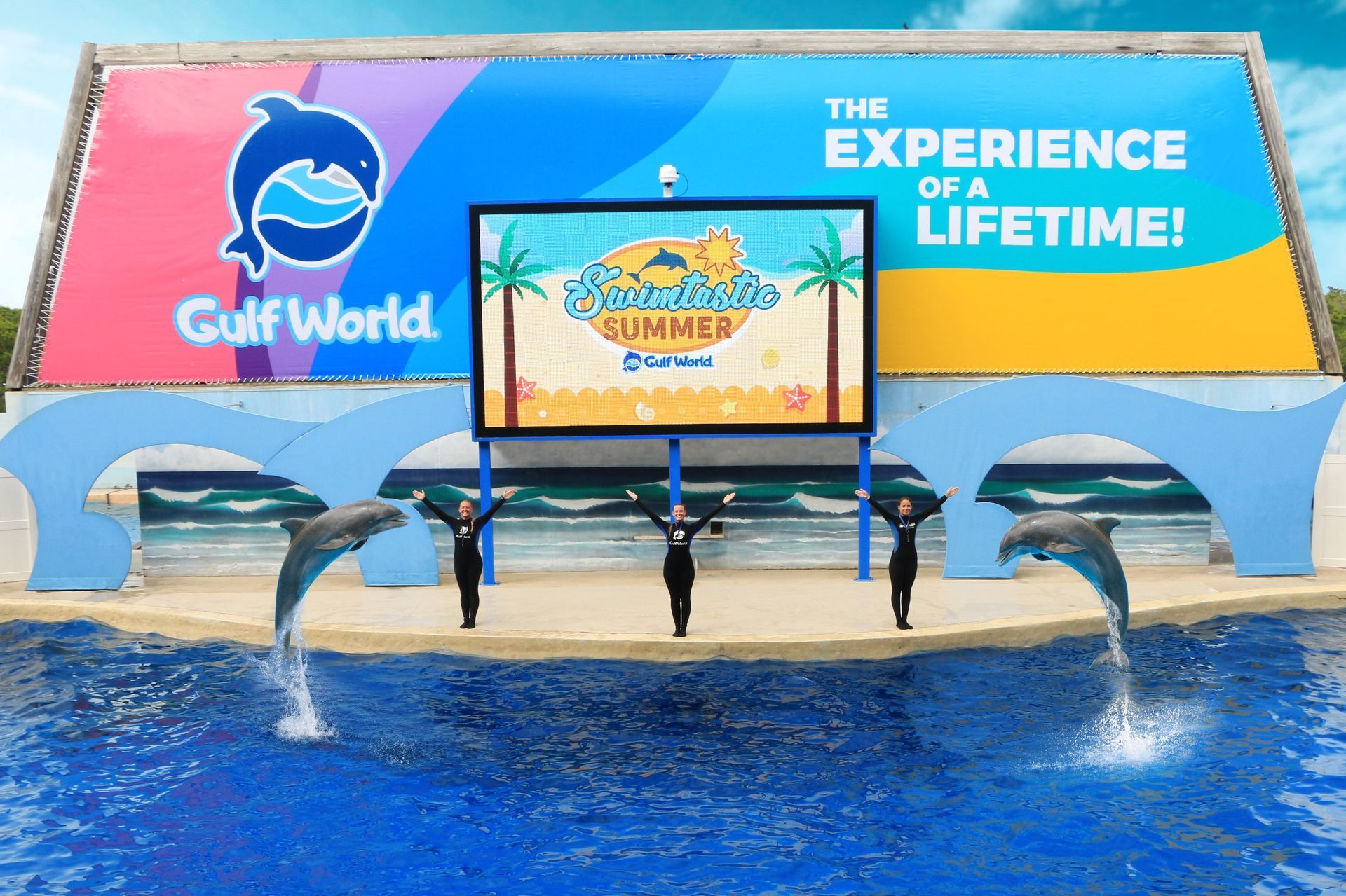 Dolphins are performing in front of a large screen at gulf world