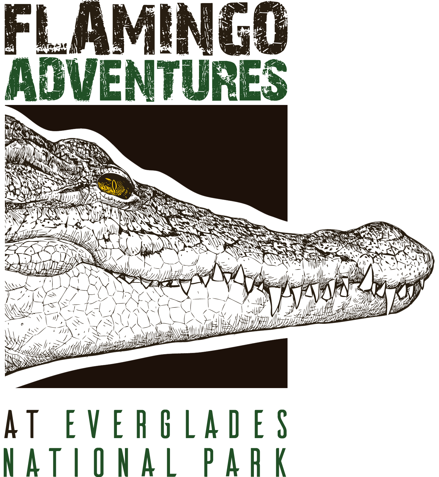 A logo for flamingo adventures at everglades national park