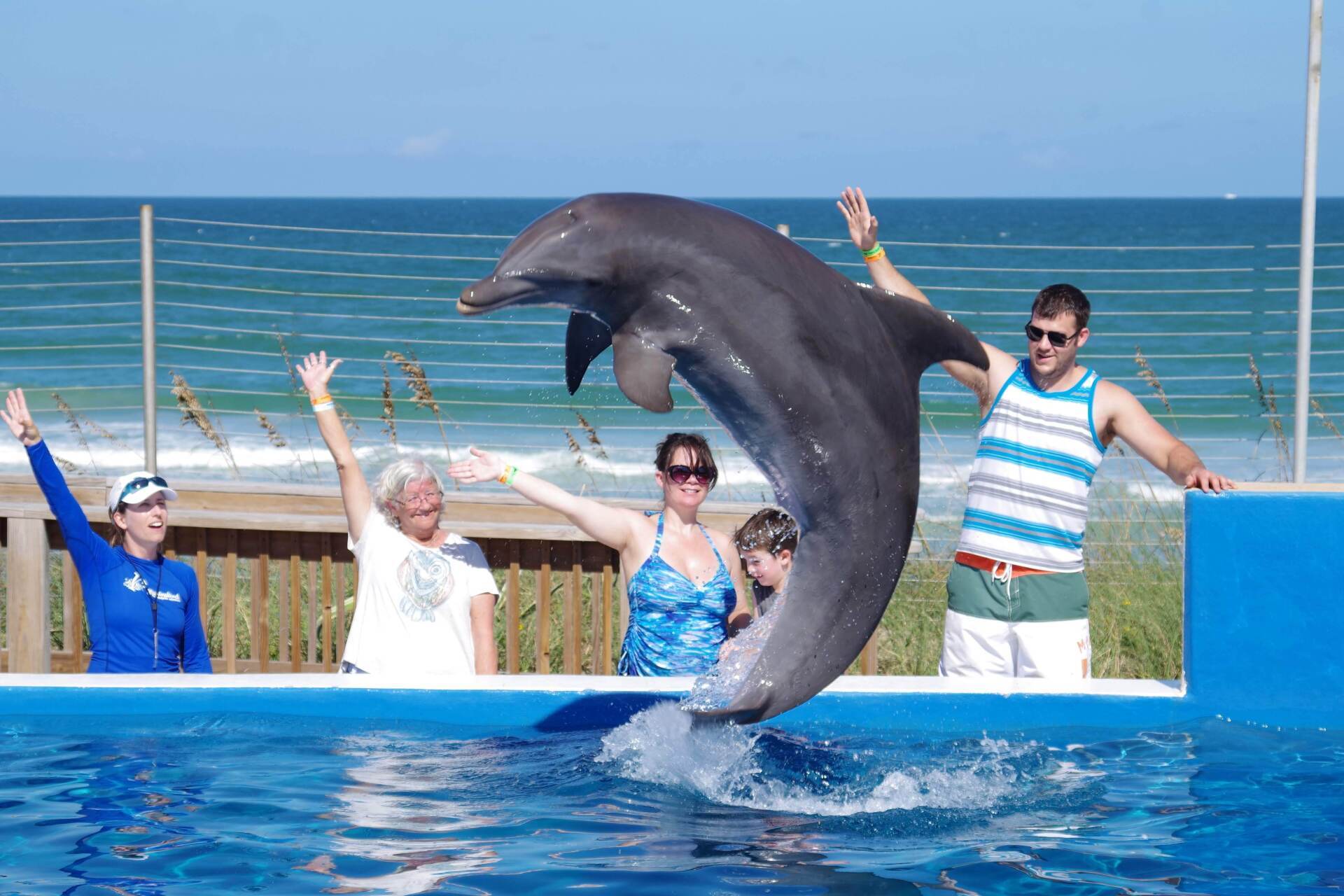 A group of people are standing around a dolphin jumping out of the water.
