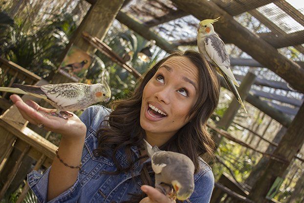A woman is feeding two birds from her hand.