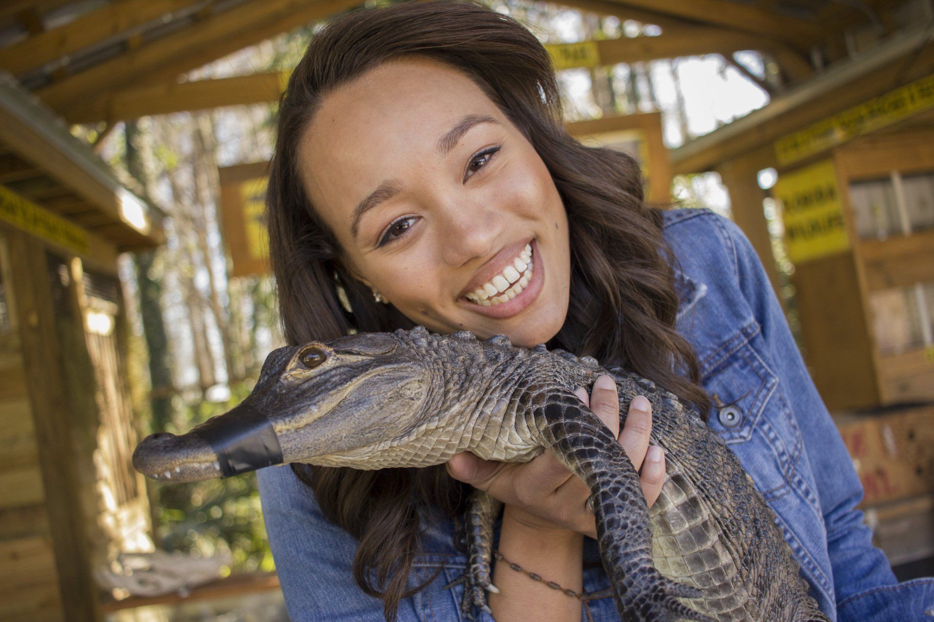 A woman is holding an alligator in her arms and smiling.
