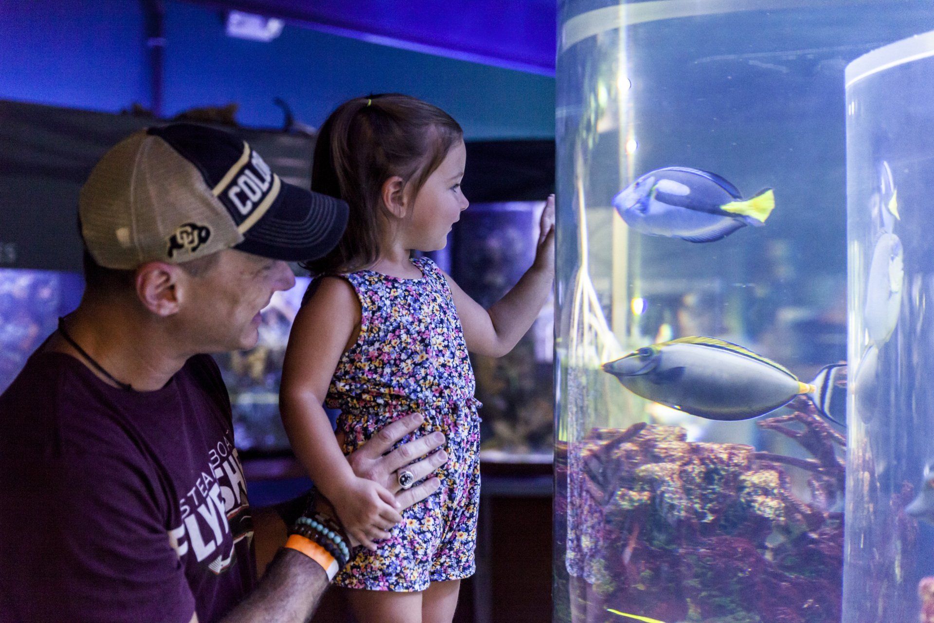 A man and a little girl are looking at fish in an aquarium.