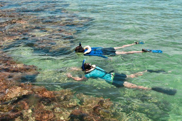 Two people are swimming in the ocean near a coral reef.