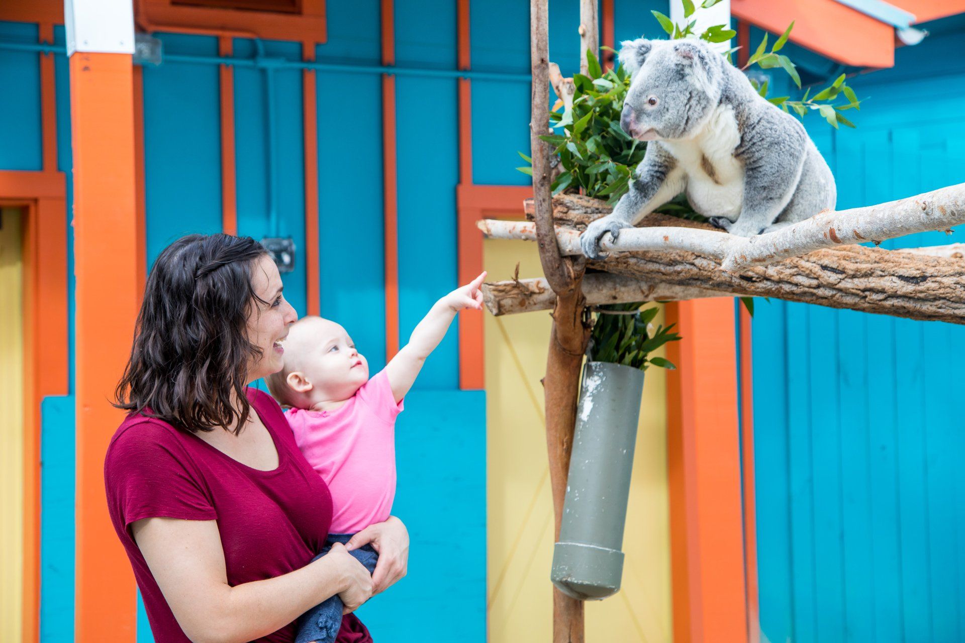A woman is holding a baby and pointing at a koala bear.