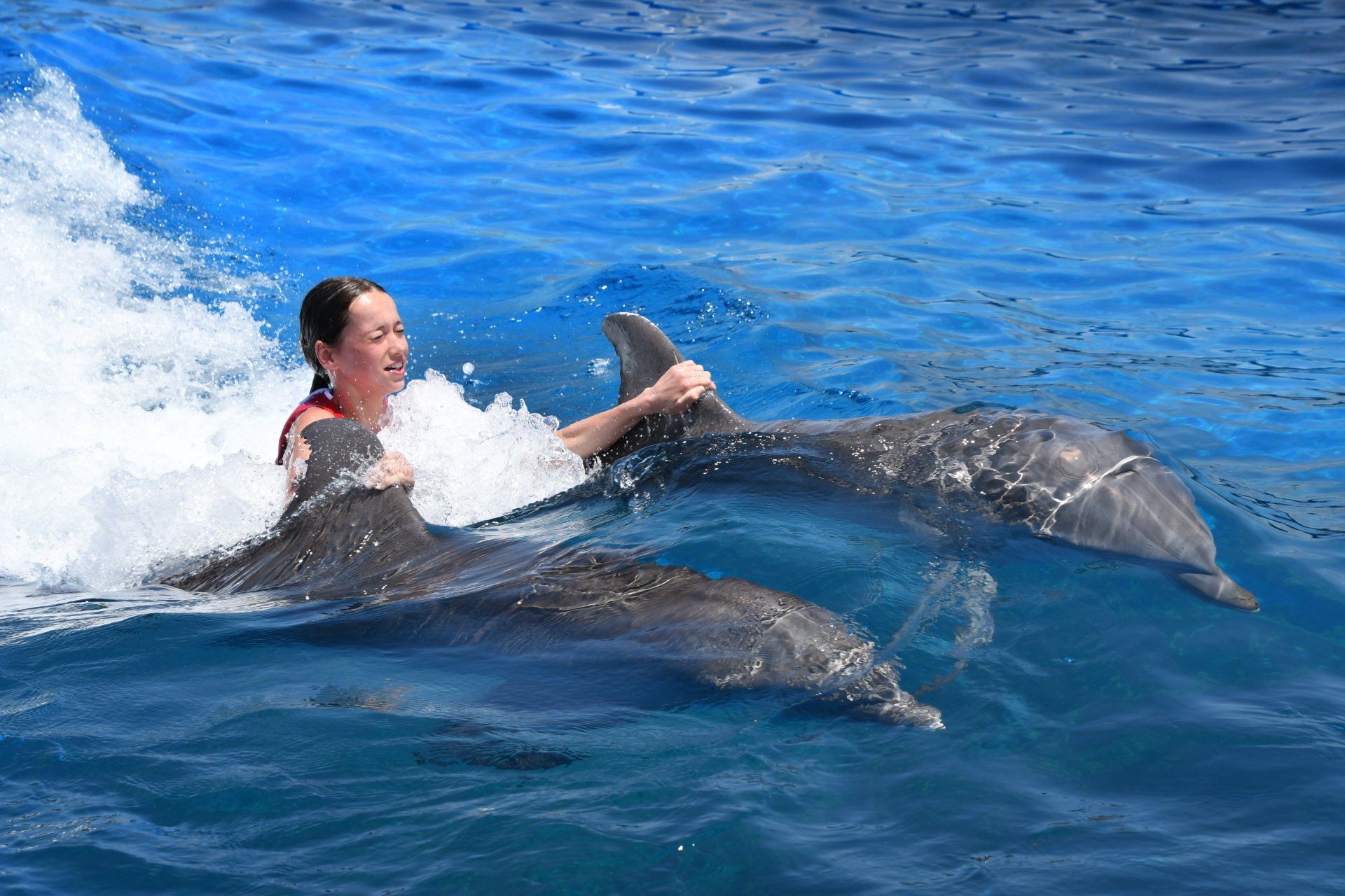 A woman is riding on the back of two dolphins in the ocean.