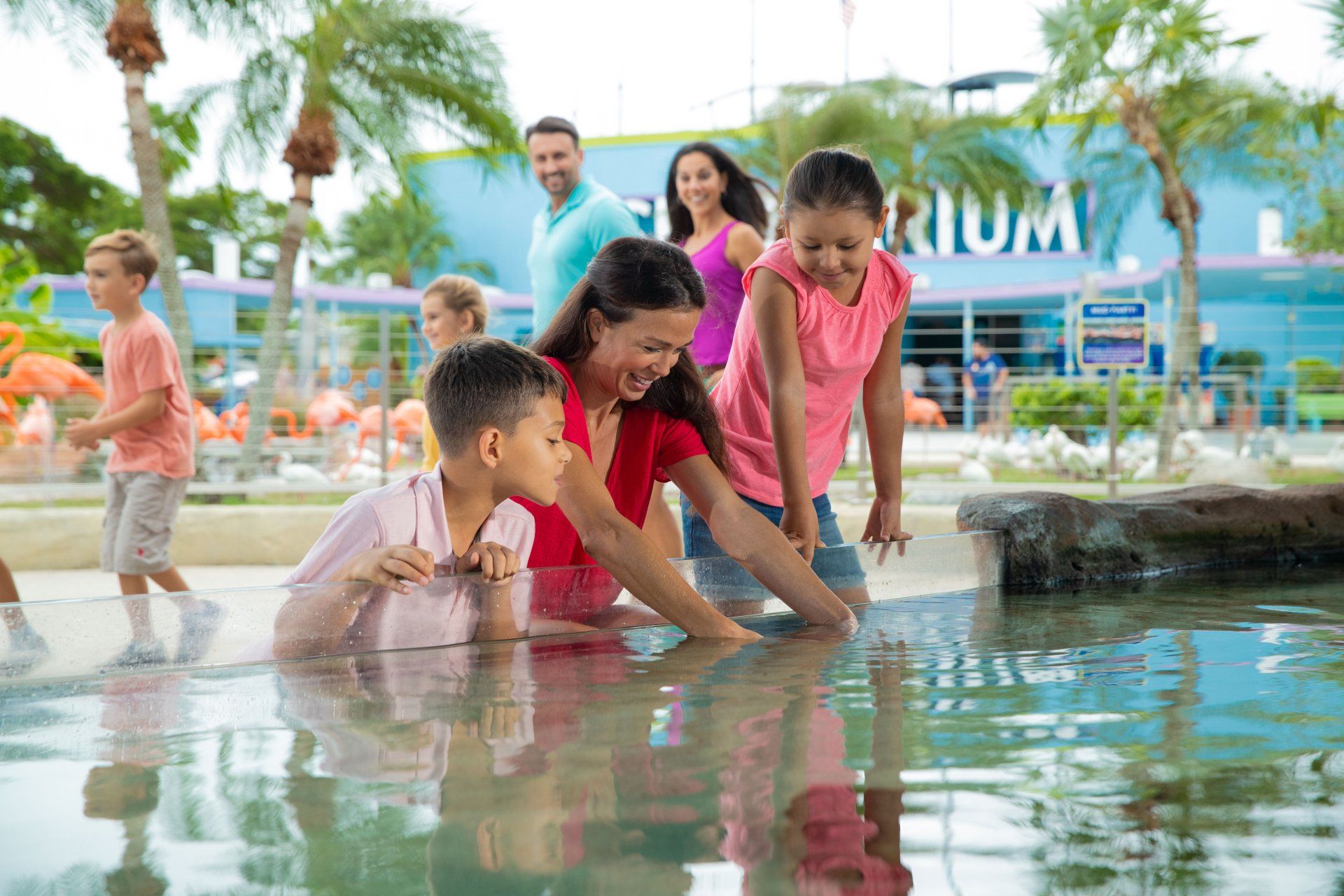 A family is playing in a pond at an aquarium.