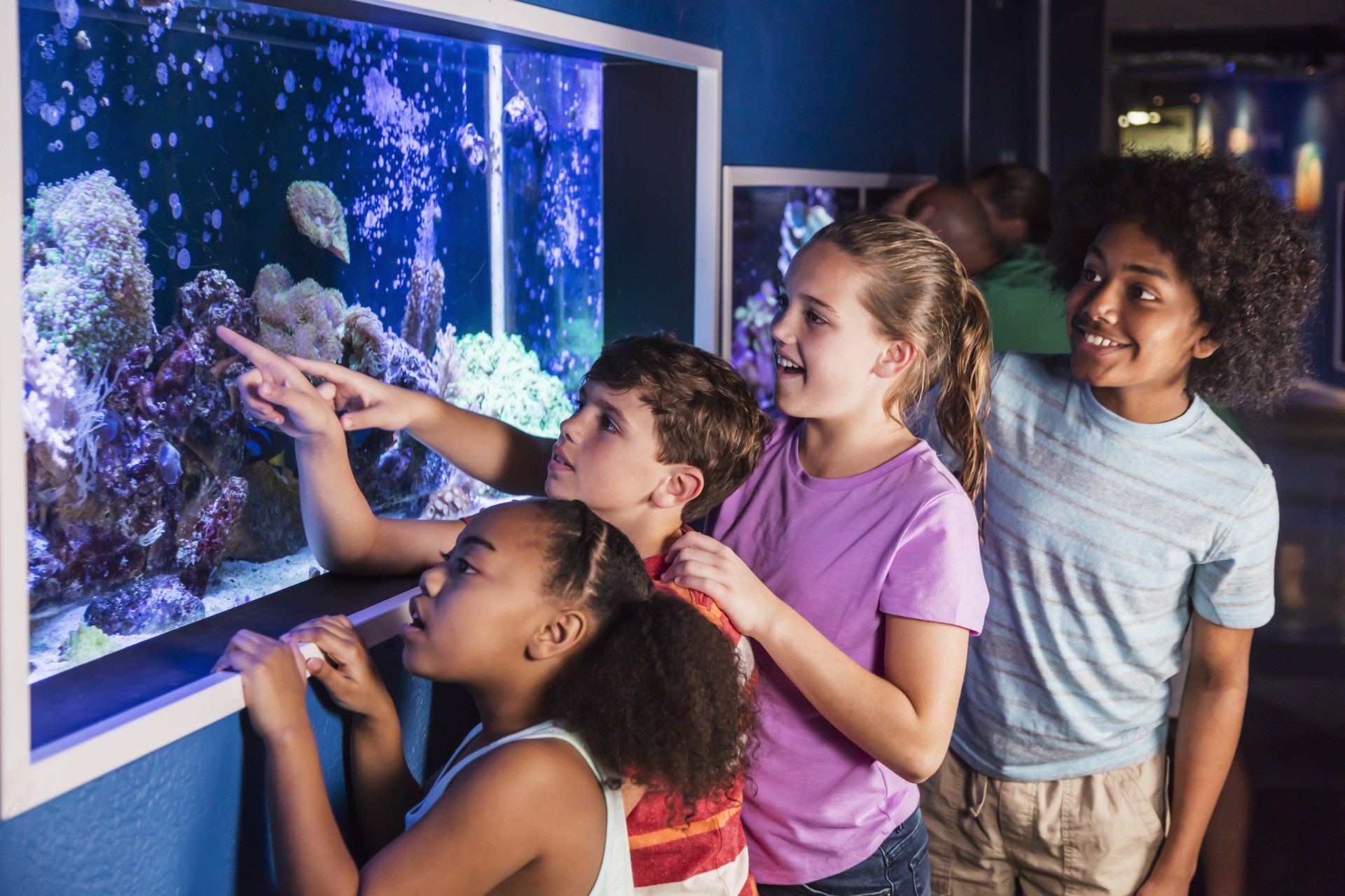 A group of children are looking at fish in an aquarium.