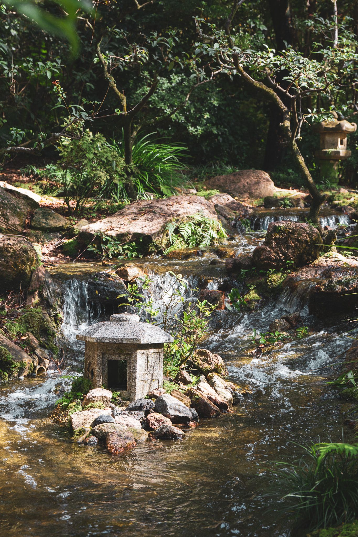 A small waterfall in the middle of a forest surrounded by rocks and trees.