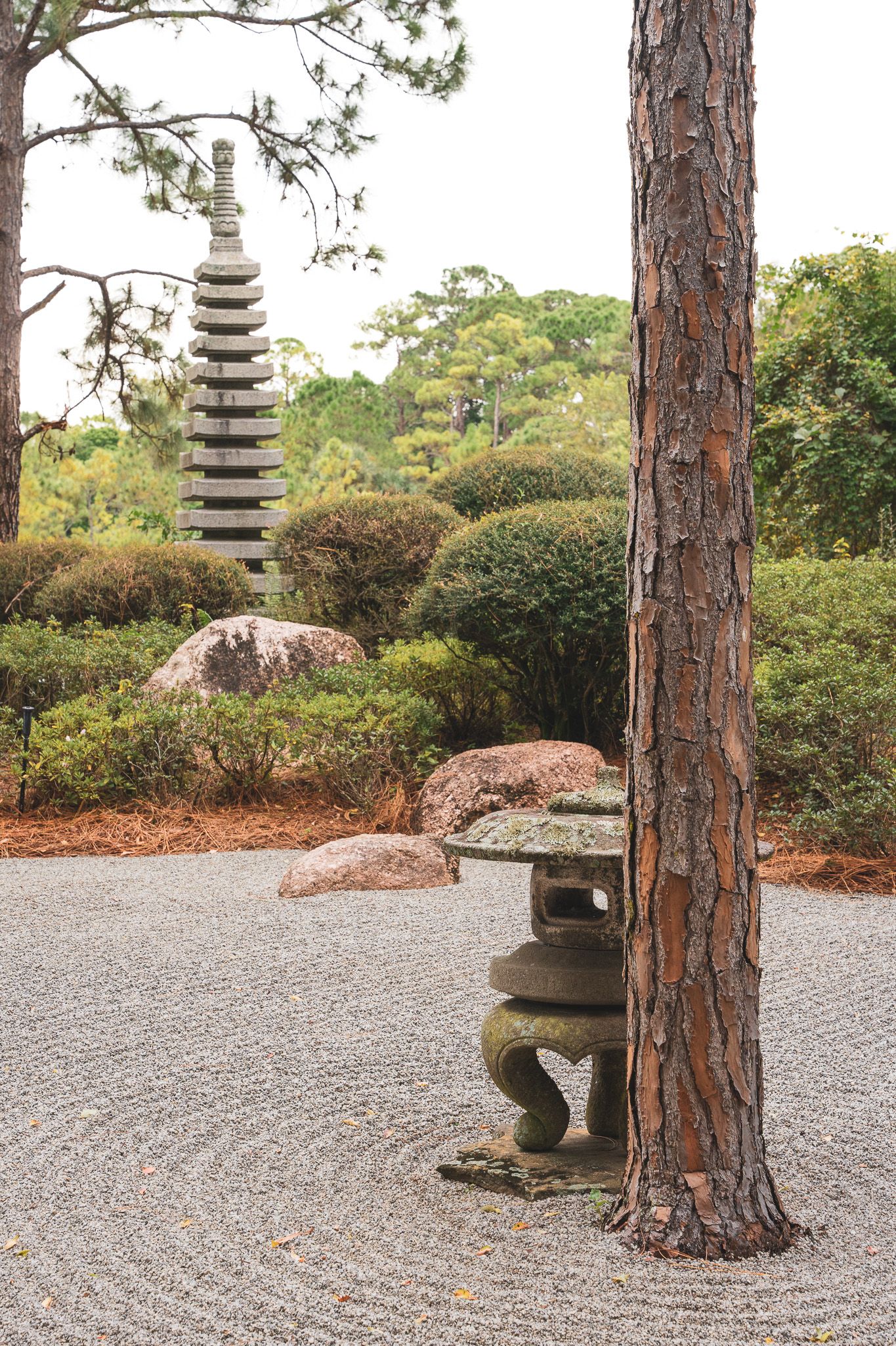 A lantern is sitting under a tree in a garden.