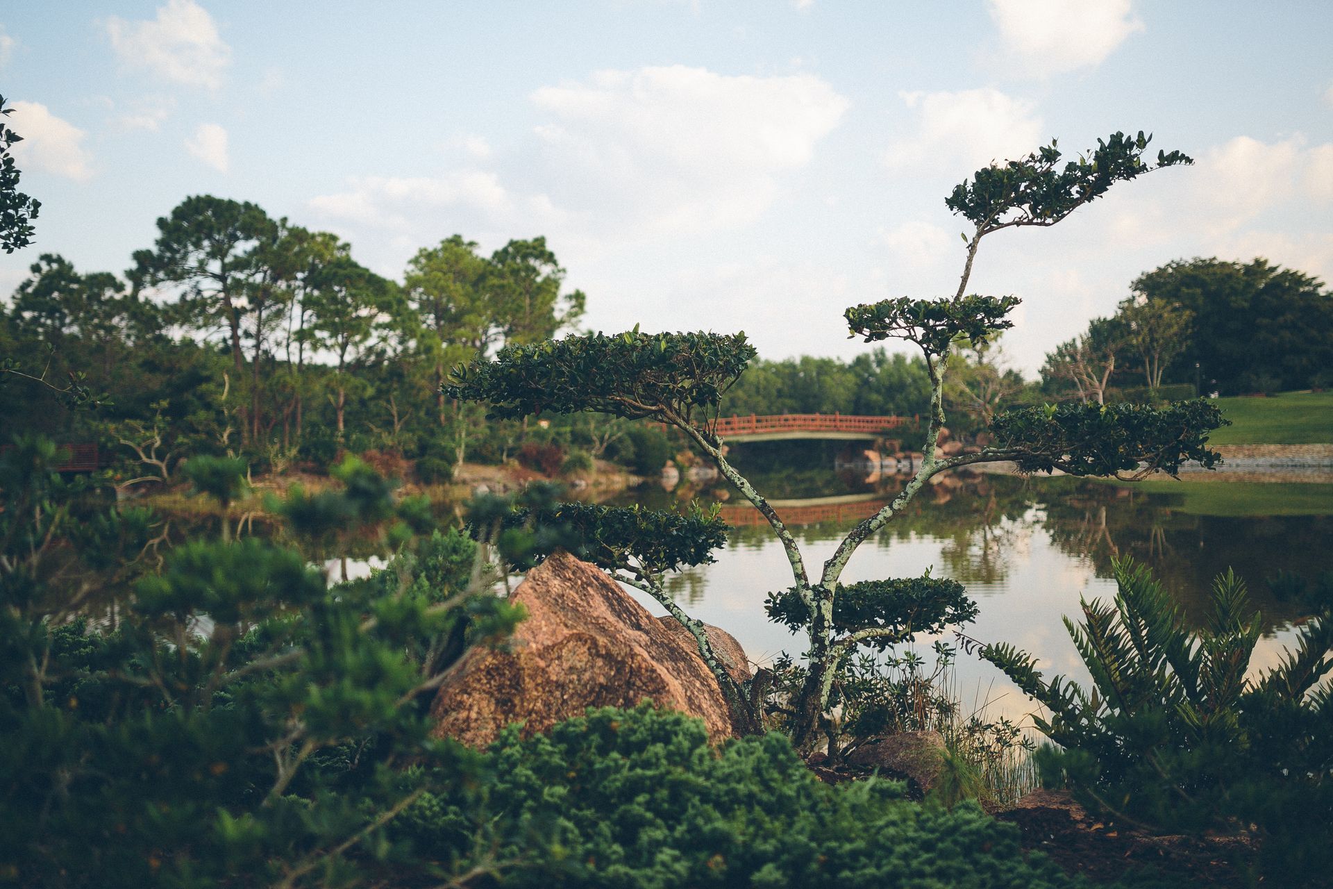 There is a bridge over a lake in the background.