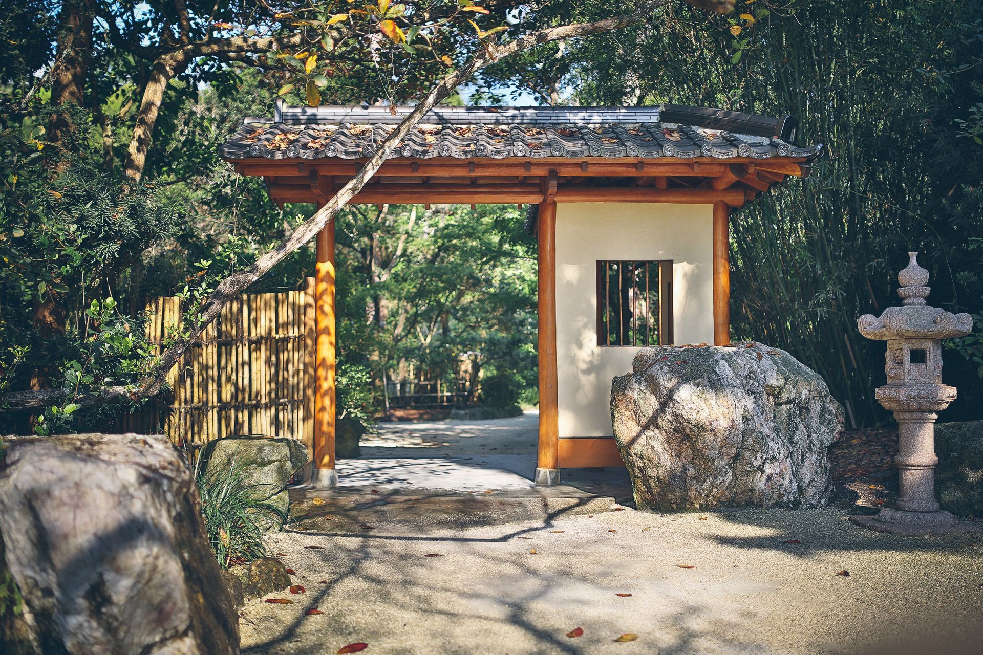 A wooden gate in the middle of a forest with a stone lantern in front of it.