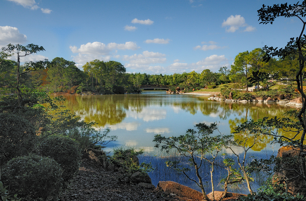A lake surrounded by trees on a sunny day