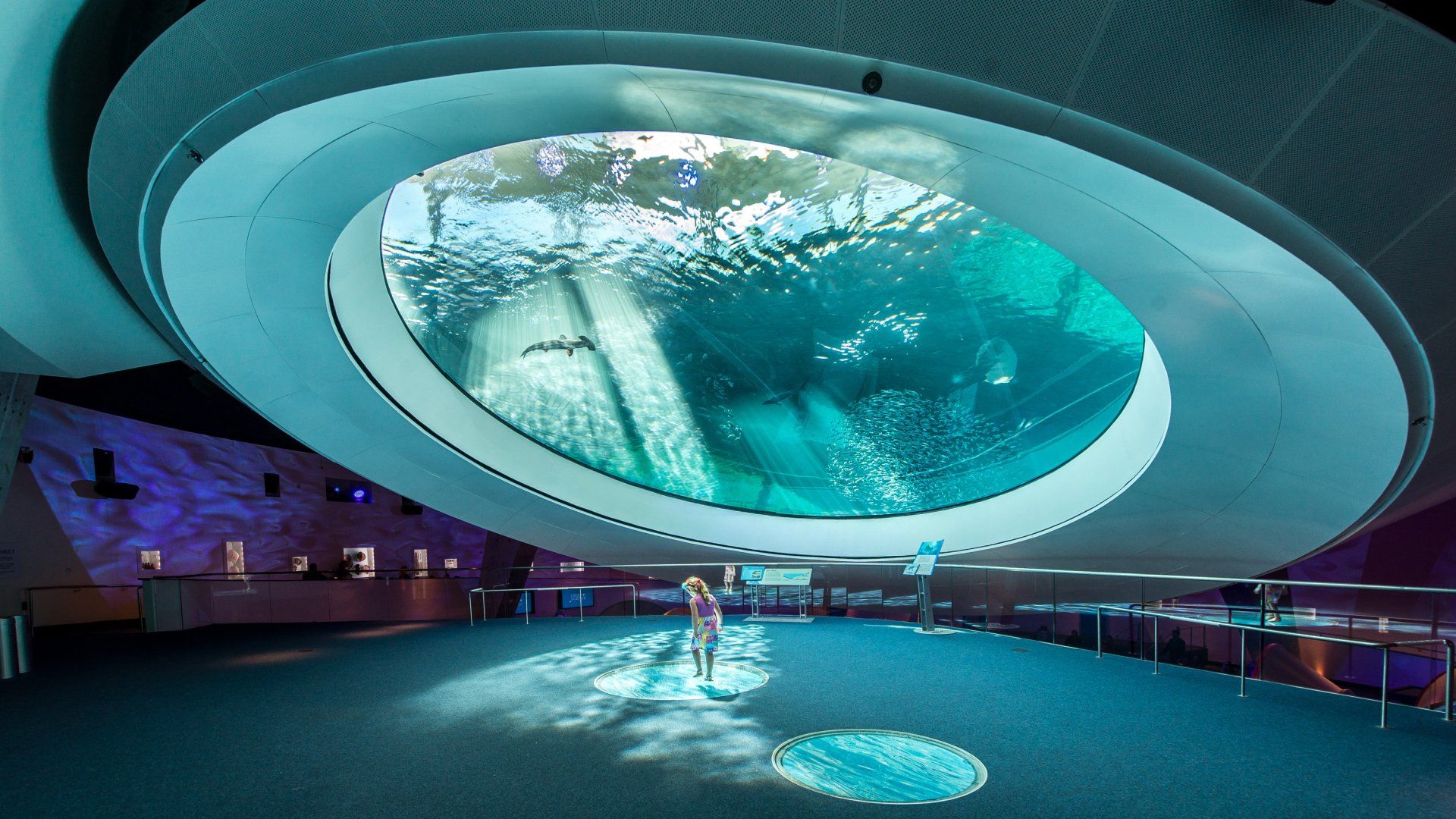 A person is standing in front of a large aquarium.