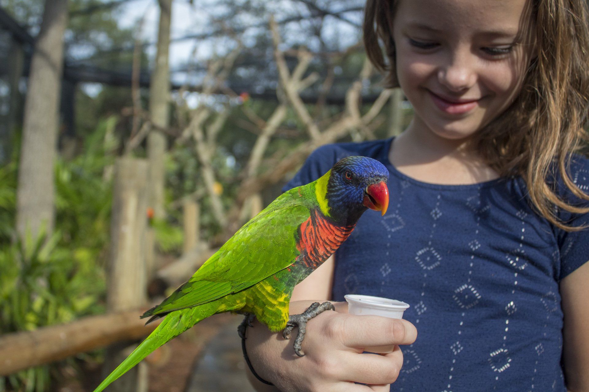 A young girl is holding a colorful parrot in her arms.