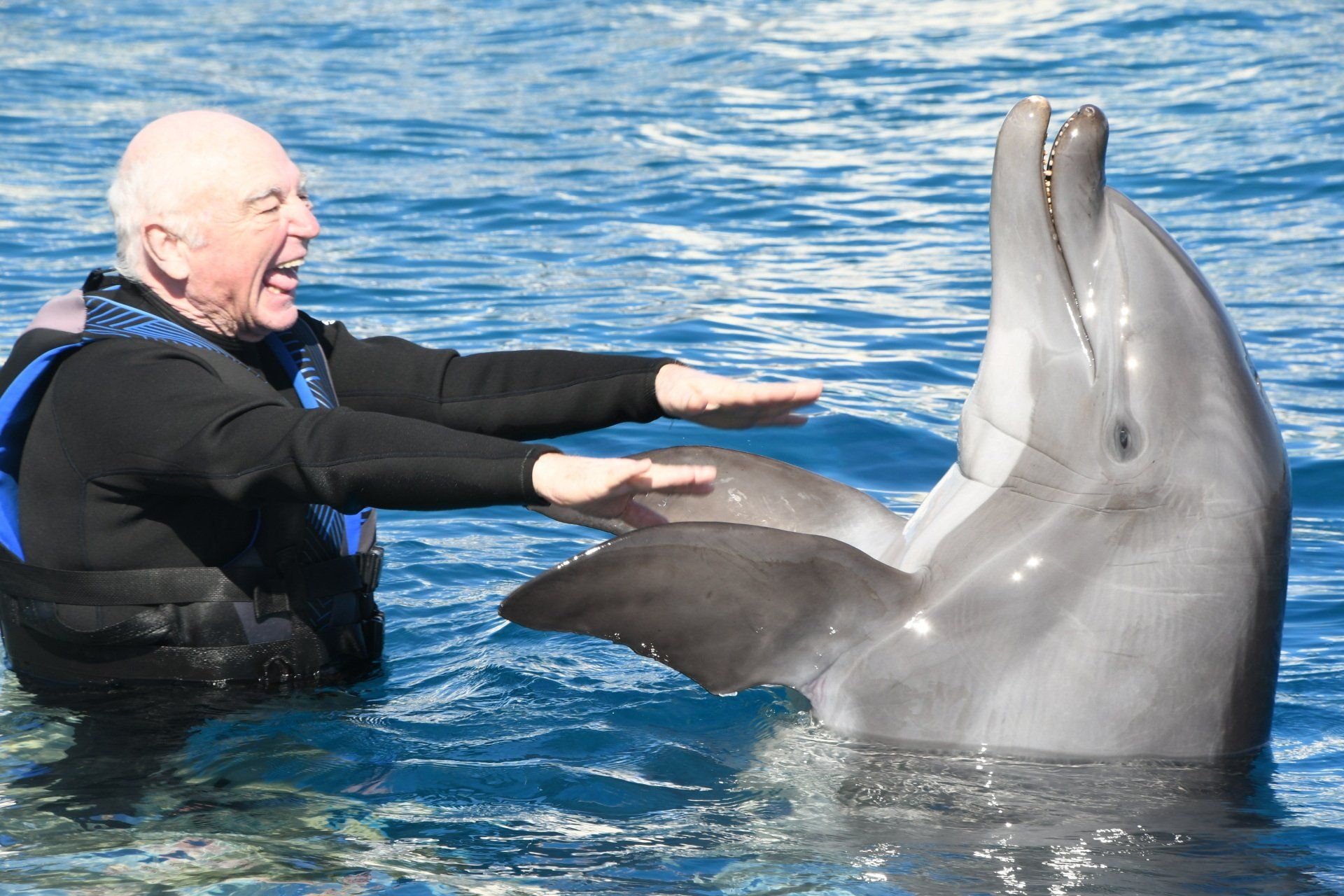 A man is playing with a dolphin in the water