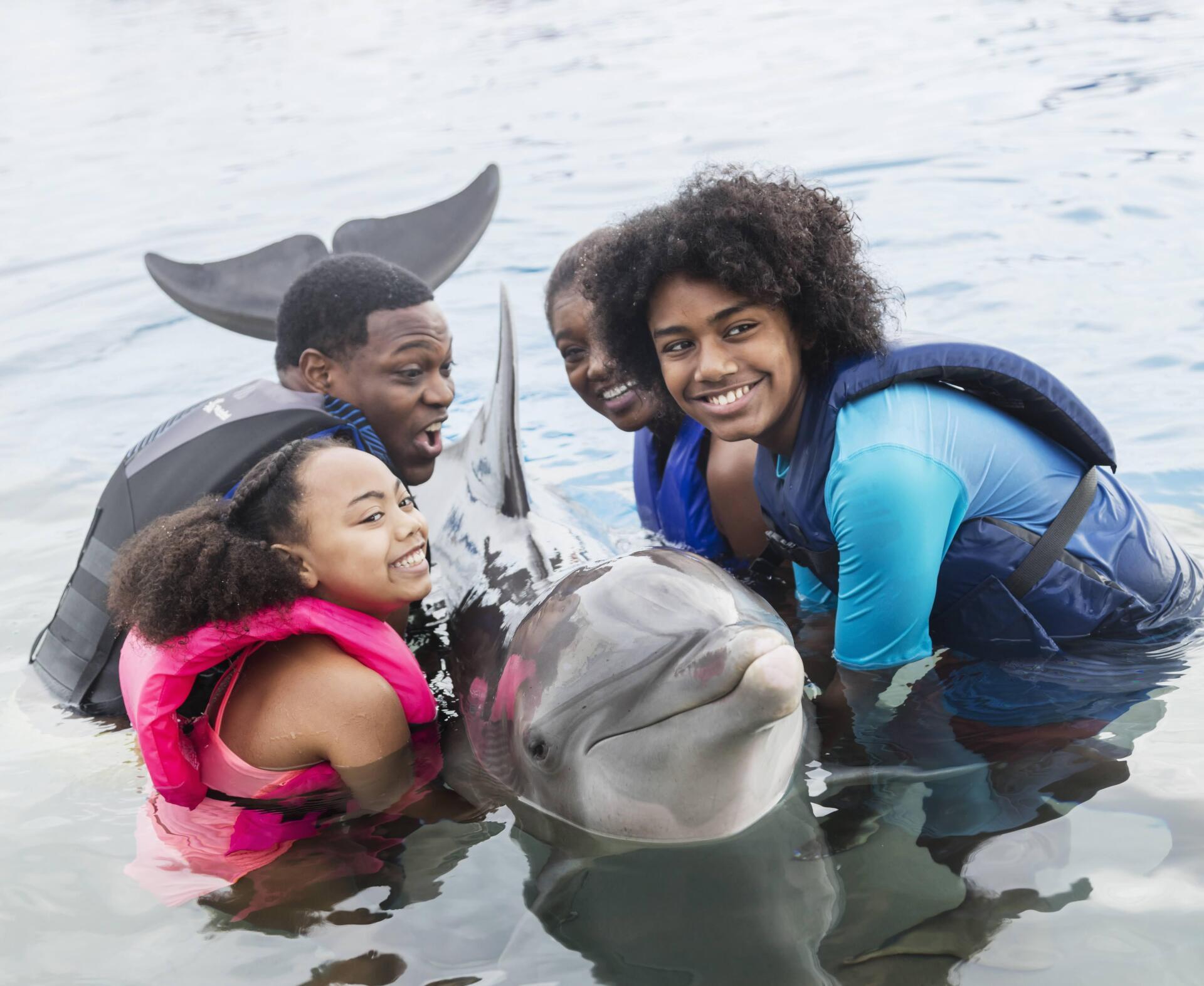 A group of people are playing with a dolphin in the water