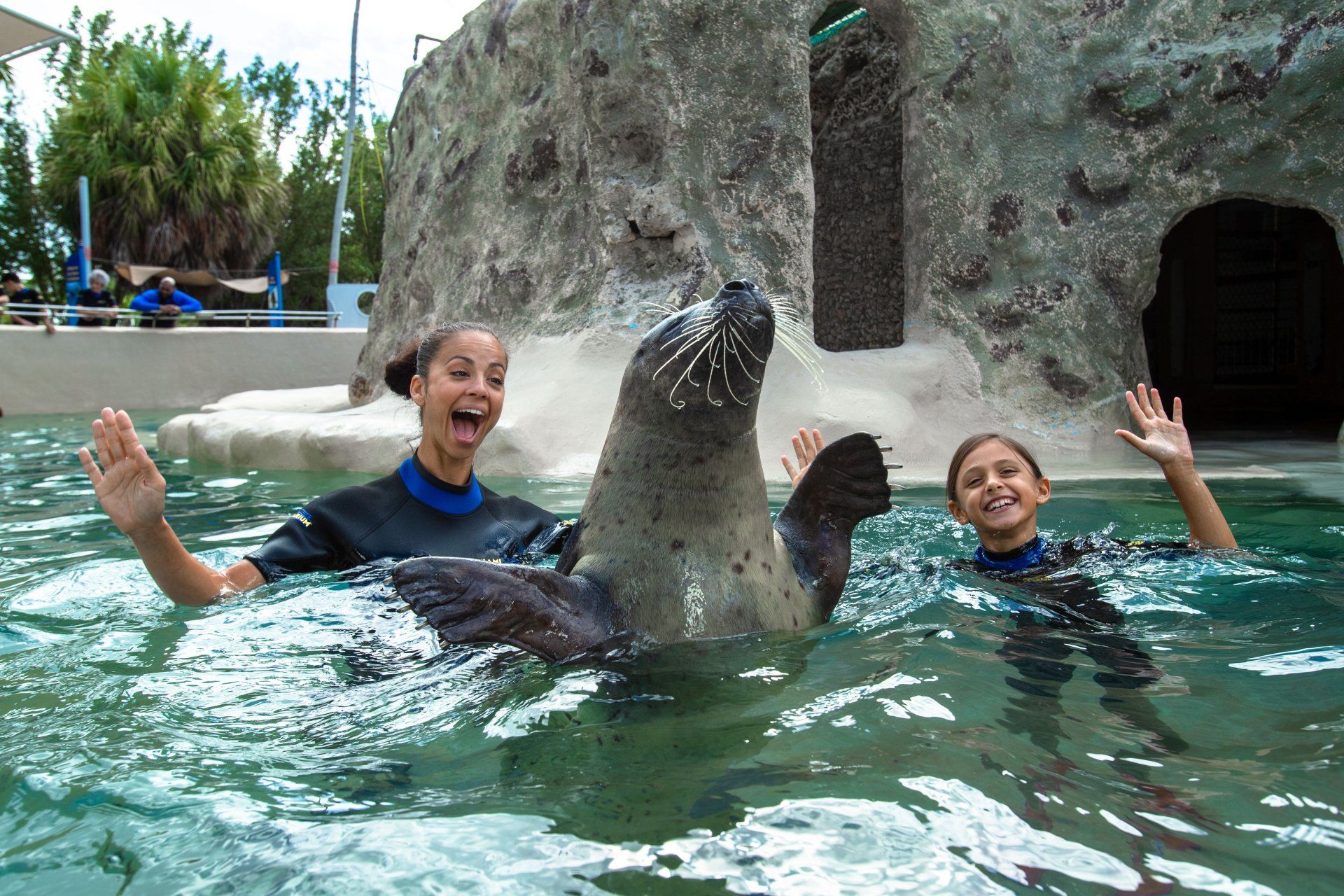 Two girls are playing with a seal in the water.