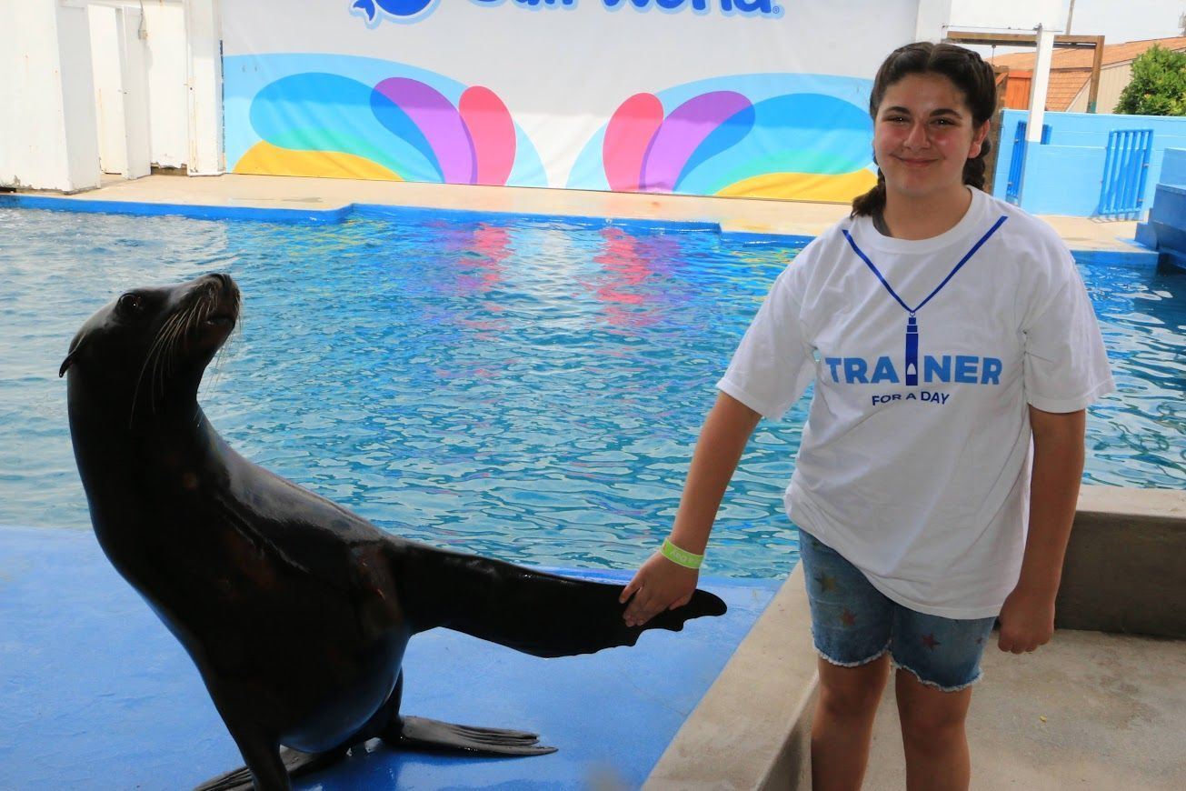 A woman wearing a trainer shirt stands next to a seal