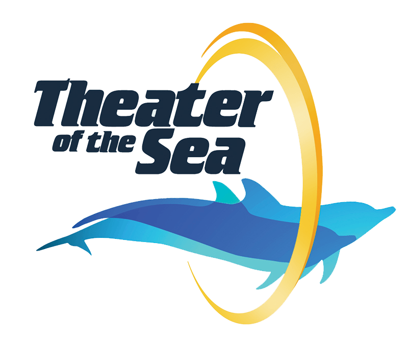 A logo for theater of the sea with a dolphin